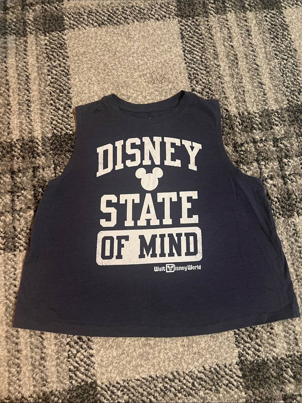 Walt Disney World Disney Parks Disney State of Mind tank